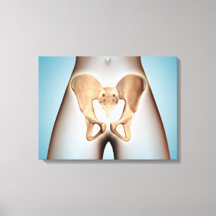 Anatomie van Pelvic Bone op het Vrouw lichaam Canvas Afdruk