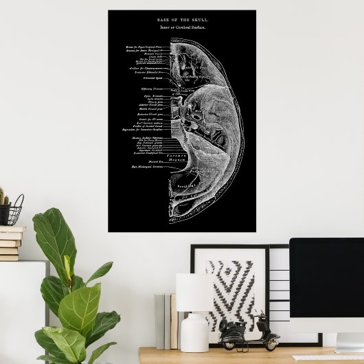 Anatomie van schedelBotten Poster (Thuiskantoor)