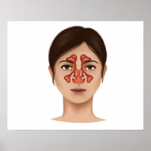 Anatomie van sinussen van de nieren poster