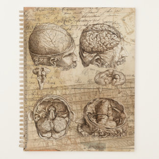 Anatomie vintage du cerveau Art collé désorganisé