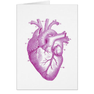 Anatomie vintage pourpre de coeur