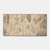 Anatomie vintage sombre universitaire (Recto)