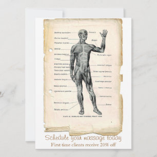Anatomie Voorkant Vintage Tekening Kaart
