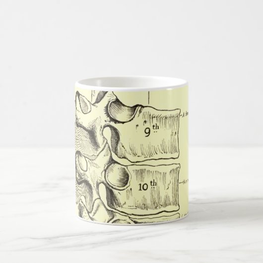  anatomie | wervels koffiemok (Center)