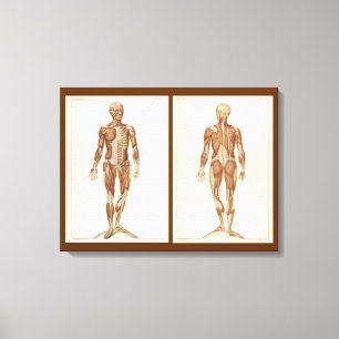  anatomieboekpagina's canvas afdruk