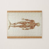 anatomieboekpagina's legpuzzel (Horizontaal)