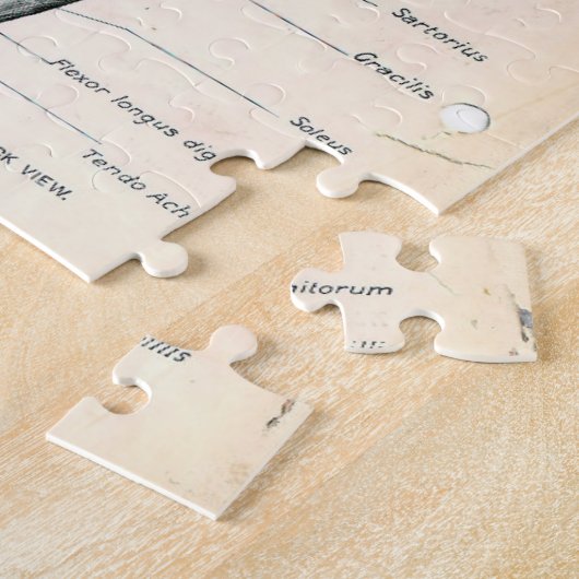 anatomieboekpagina's legpuzzel (Zijkant)