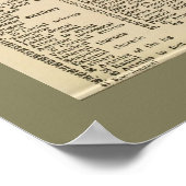  anatomiegrafiek 1917 Koe Poster (Hoek)