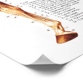 Anatomiegrafiek van de paardenspier poster (Hoek)