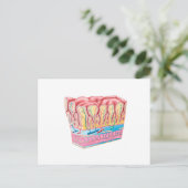 Anatomiestructuur en lagen van de muurmuur briefkaart (Staand voorkant)