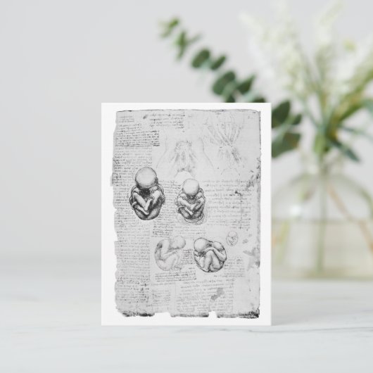 anatomietekening van een foetus briefkaart (Staand voorkant)