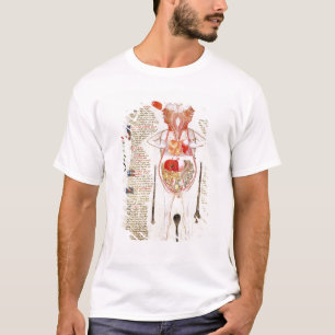 Anatomisch diagram t-shirt