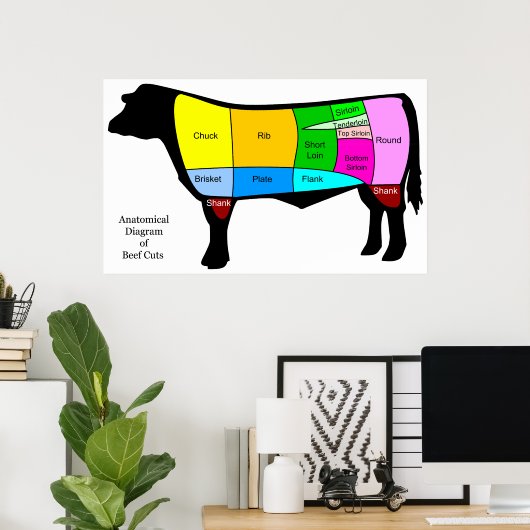 Anatomisch diagram van Amerikaanse oerbeeften Poster (Thuiskantoor)