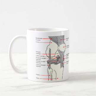 Anatomisch diagram van een gewricht van de rechter koffiemok