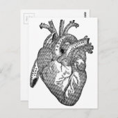  anatomisch hart briefkaart (Voorkant / Achterkant)