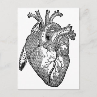 anatomisch hart briefkaart