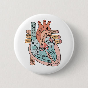 Anatomisch Hart, Cardiale IC Verpleegkundige Gift Ronde Button 5,7 Cm