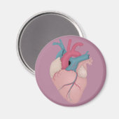 Anatomisch hart magneet (Voorkant / Achterkant)