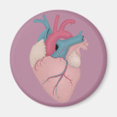 Anatomisch hart magneet (Voorkant)