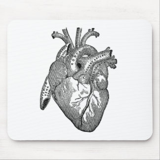 anatomisch hart muismat