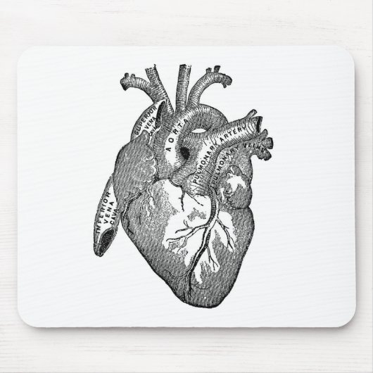 anatomisch hart muismat (Voorkant)