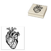Anatomisch Hart Rubberstempel (Gestempeld)