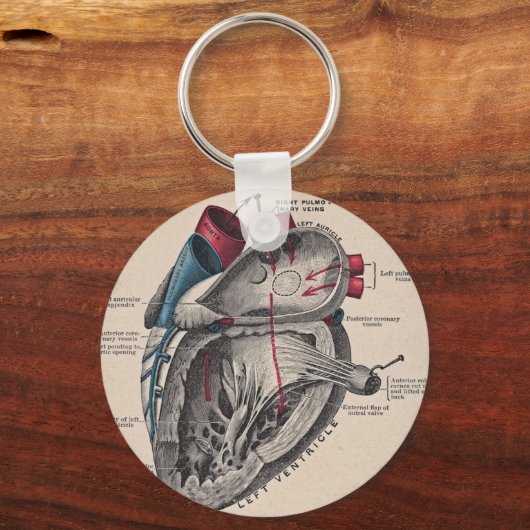  anatomisch hart sleutelhanger (Voorkant)