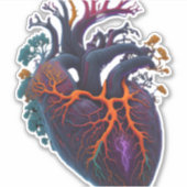 Anatomisch hart sticker (Voorkant)