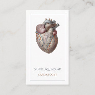Anatomisch hartcardioloog visitekaartje