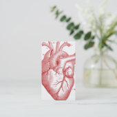 Anatomisch hartprofiel of Visitekaartje (Staand voorkant)