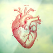  Anatomisch humaan hart  Kunstvensterkoeling Raamsticker (Vel 3)