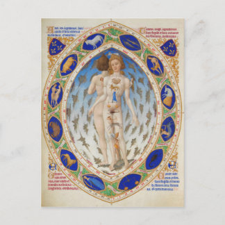 Anatomisch Man in Très Riches Heures van Duke Berr Briefkaart