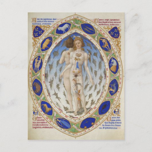 Anatomisch Man in Très Riches Heures van Duke Berr Briefkaart (Voorkant)