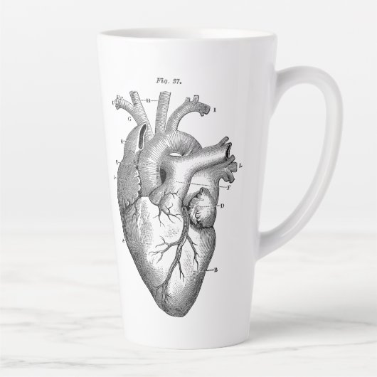 Anatomisch menselijk hart  Kunst met letterlijke M Latte Mok (Rechts)