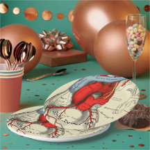 Anatomisch Vintage Diagram Medische Afstudeercerem