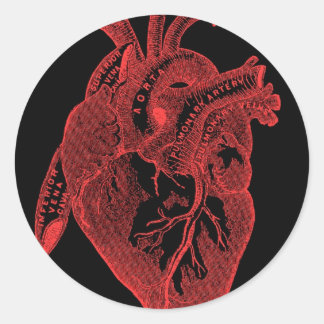 Anatomisch zwart hart ronde sticker