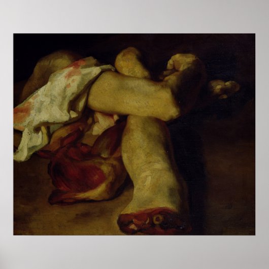 Anatomische artikelen poster (Voorkant)