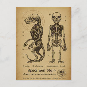 Anatomische bevindingen: Brown Jenkin specimen nr. Feestdagenkaart