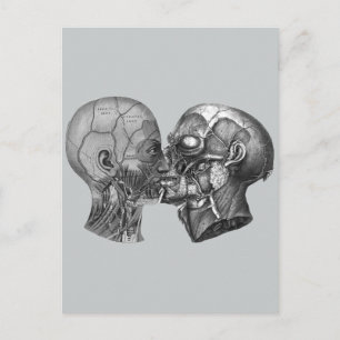 anatomische borst briefkaart