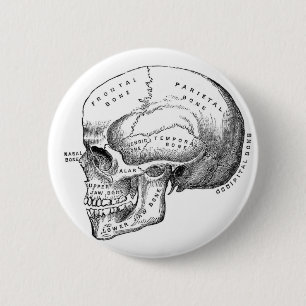Anatomische Button