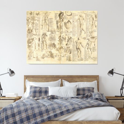 Anatomische Grafiek uit Cyclopaedie 1728 Canvas Afdruk (Insitu (Slaapkamer))