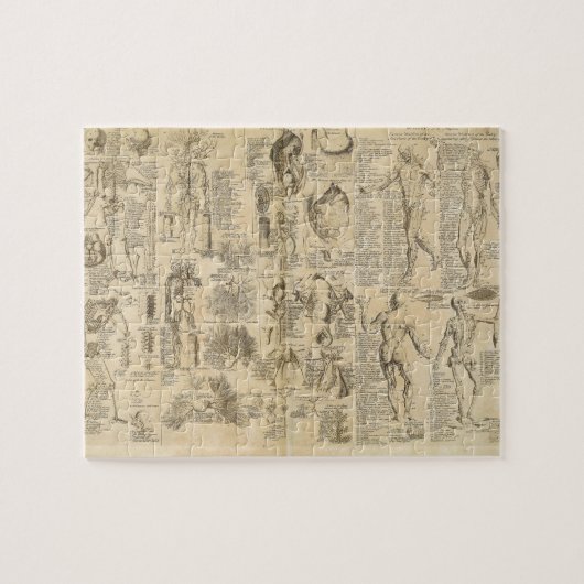 Anatomische Grafiek uit Cyclopaedie 1728 Legpuzzel (Horizontaal)