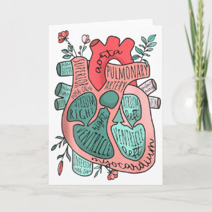 Anatomische Hart Cardiologie Icu Cvicu Verpleegste Kaart