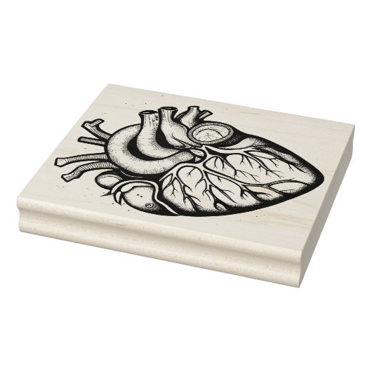Anatomische hart rubberen stempel (Stempel)