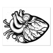 Anatomische hart rubberen stempel (Afrduk)