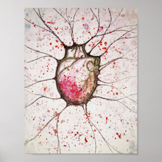 Anatomische hartillustratie - 8,5 x 11 Poster
