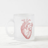  anatomische hartkamer, gevriesdroogde Mok van gla (Links)