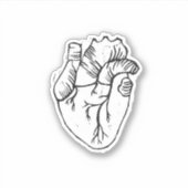 Anatomische hartsticker sticker (Voorkant)