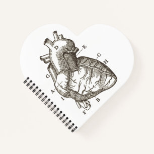 anatomische harttrekkers notitieboek