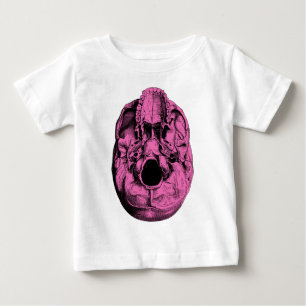 Anatomische humane schedelbasis roze